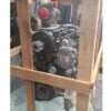 Perkins C6.6 Diesel Engine Assembly Perkins C6.6 Diesel Engine Assembly
