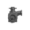 Caterpillar C18 Sea Water Pump